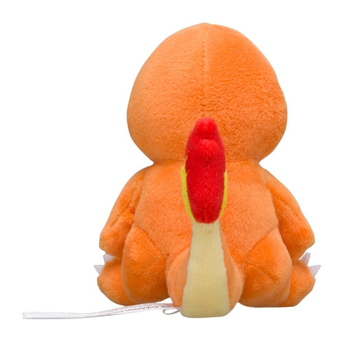Fit Charmander No.4