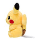 Fit Pikachu No.25