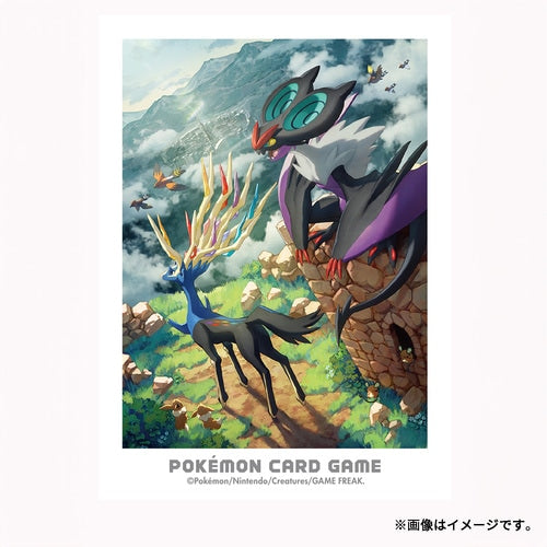 Juego de Cartas Pokémon: Protector de Mazo Aventura en Kalos Xerneas & Talonflame