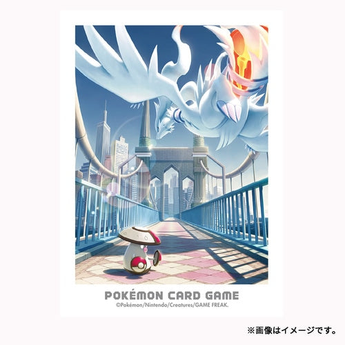 'Juego de Cartas Pokémon Protector de Baraja Aventura en Unova Reshiram & Whimsicott'