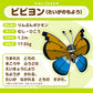 Peluche Pokémon fit Vivillon (patrón de tigre)