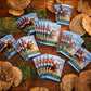 Magic Bloomburrow - Play Booster