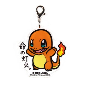 Dije de Acrílico B Side Label Charmander