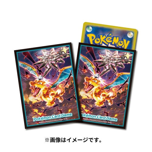 Protector de Cartas Premium: Tera Dark Charizard