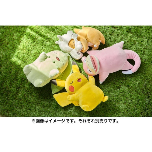 Chikorita :Sleep