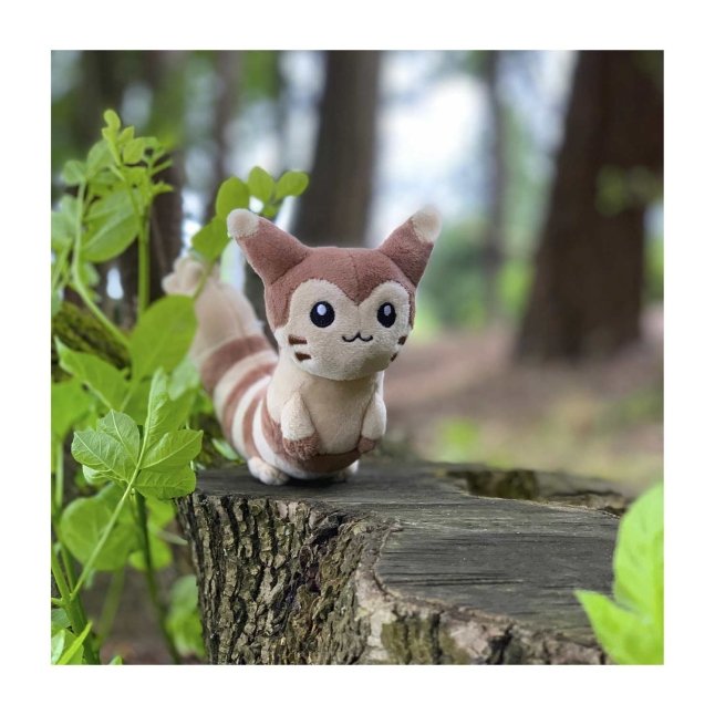 Furret Sitting